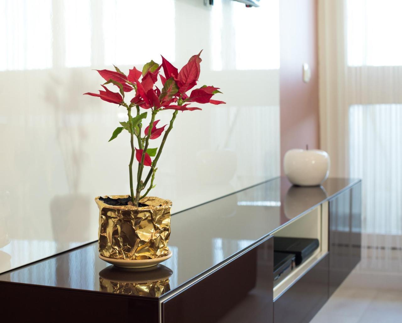 Apartment Amalfi Сплит Екстериор снимка